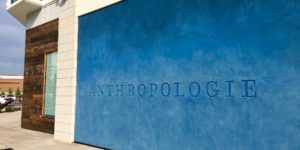 Anthropologie - Lexington